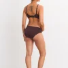 1515-the-everyday-brief-2.webp The Everyday Brief